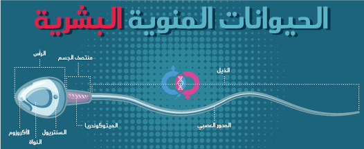 علامات العقم عند الرجال