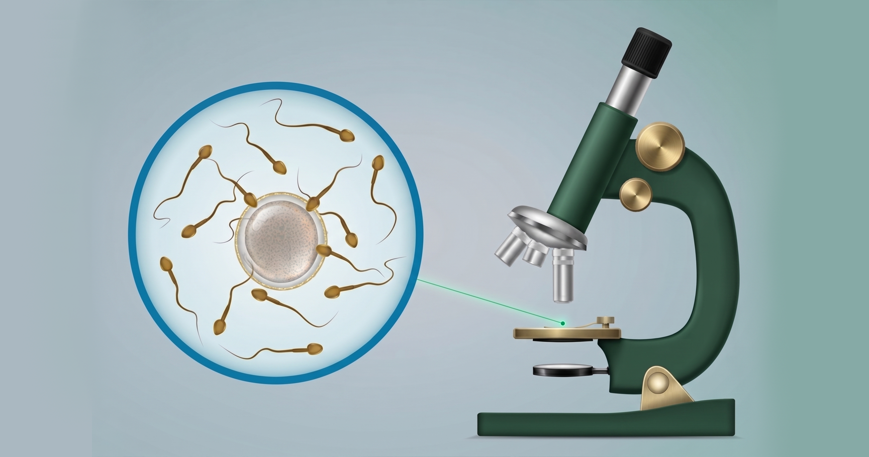 semen-analysis-results-guide